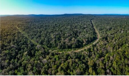 Gobernador: Misiones, el primer Estado que emitirá un bono de carbono en el mundo imagen-8