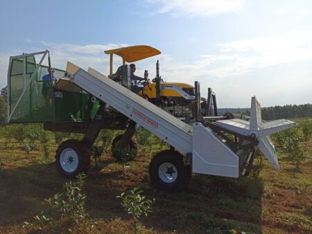 Oberá: empresa familiar misionera innova en la fabricación de maquinaria agrícola imagen-12