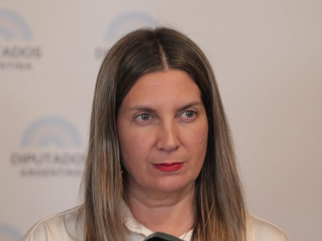 Tras el rechazo a ficha limpia en el Senado, Silvia Lospennato acusó un pacto: “Se sigue privilegiando la corrupción” imagen-5