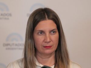 Tras el rechazo a ficha limpia en el Senado, Silvia Lospennato acusó un pacto: “Se sigue privilegiando la corrupción” imagen-1