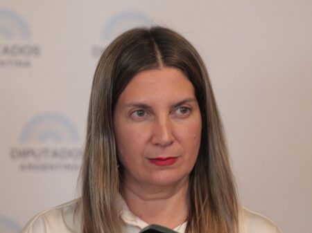 Tras el rechazo a ficha limpia en el Senado, Silvia Lospennato acusó un pacto: “Se sigue privilegiando la corrupción” imagen-12