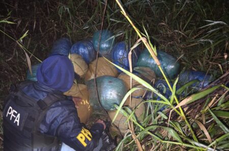 Puerto Esperanza: La Policía encontró 250 kilos de drogas abandonados imagen-67