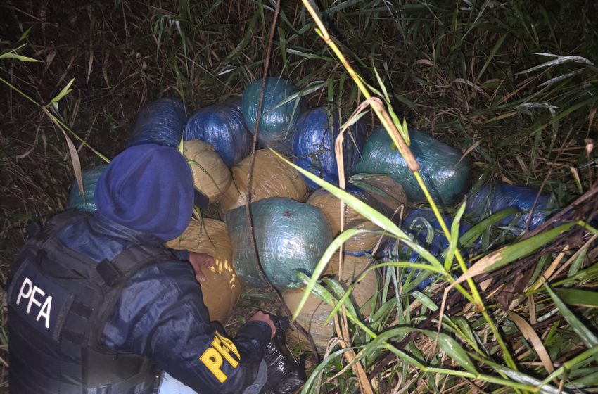 Puerto Esperanza: La Policía encontró 250 kilos de drogas abandonados imagen-70