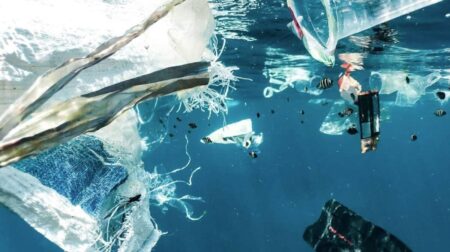 Día Mundial del Medio Ambiente: se hará un evento para pedir la incorporación del ecocidio como delito en el Código Penal imagen-14