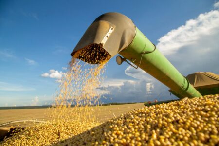 Inesperado: avanza la cosecha del cultivo estrella de la Argentina y hay más sorpresas con los rindes imagen-6