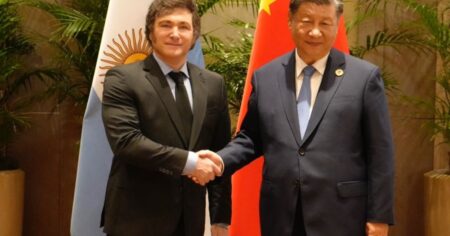 Una comitiva de empresas chinas desembarca en Argentina para analizar negocios: una por una, quiénes vienen al país imagen-12