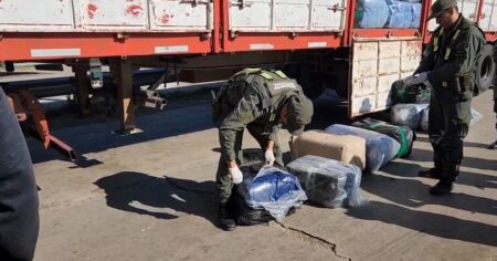 Descubrieron en Córdoba un contrabando millonario de hojas de coca: más de seis toneladas iban embolsadas en un camión imagen-11