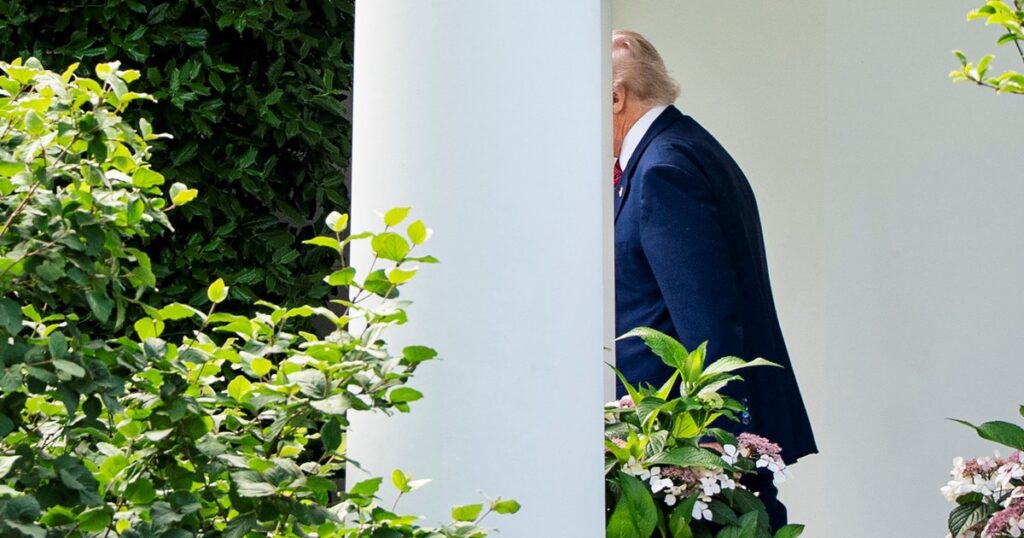 Editoriales de The Times: Si Trump se aleja de Ucrania ahora, parecerá débil y Putin ganará imagen-96