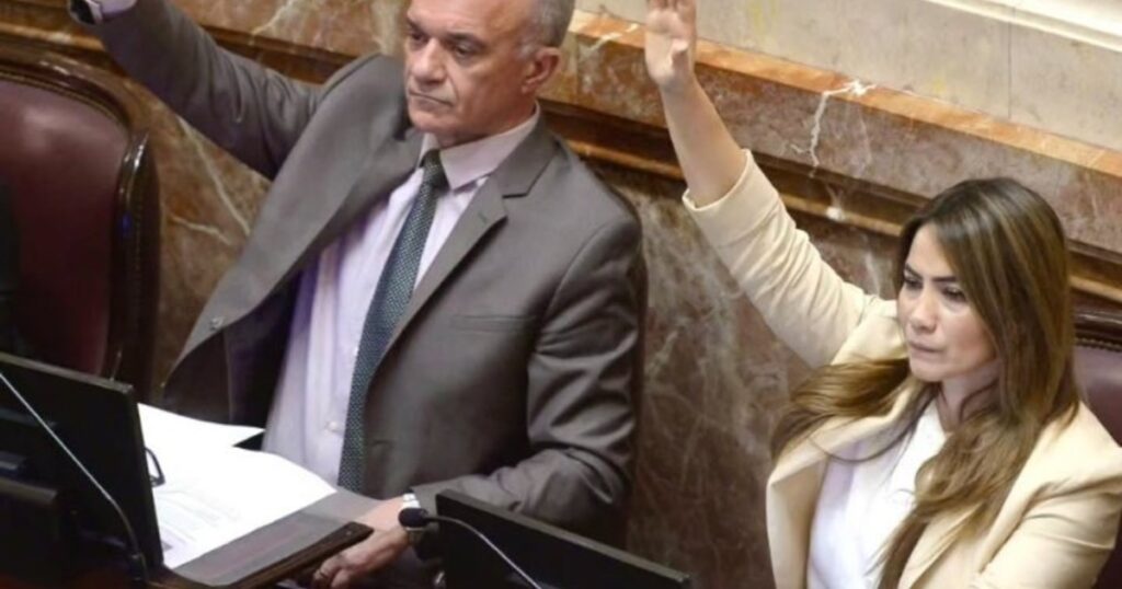 De la Ley Bases hasta los pliegos de Lijo y García-Mansilla: los votos de los senadores misioneros de Rovira siempre acompañaron al Gobierno de Milei imagen-5