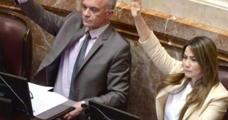 De la Ley Bases hasta los pliegos de Lijo y García-Mansilla: los votos de los senadores misioneros de Rovira siempre acompañaron al Gobierno de Milei imagen-6