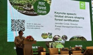 Trazando el futuro de la certificación forestal: la OIMT en el centro del escenario en el Foro Forestal PEFC imagen-4