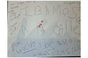 La mujer habría dejado de tomar sus medicamentos dos meses antes de la masacre en Villa Crespo imagen-1