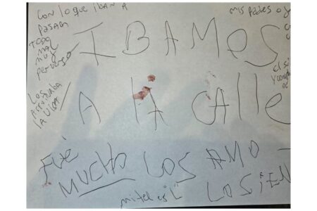 La mujer habría dejado de tomar sus medicamentos dos meses antes de la masacre en Villa Crespo imagen-8