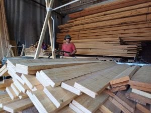 PyMEs foresto-industriales se suman al programa provincial de desarrollo de proveedores imagen-3