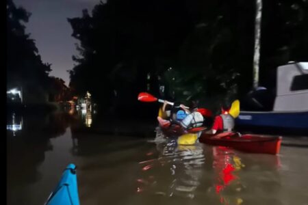 Cómo es un paseo en kayak nocturno para remar bajo la Luna entre juncos y canales imagen-9