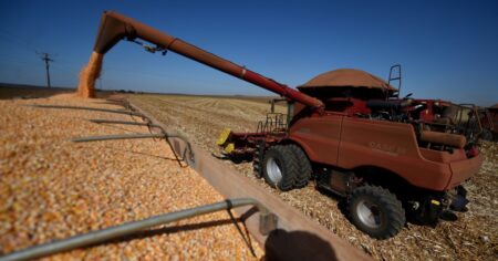 Los activos ambientales del Mercosur y el próximo COP30 imagen-9