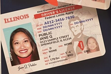 La nueva propuesta de ley que avanza en Illinois sobre la licencia de conducir: ¿qué cambiará? imagen-7