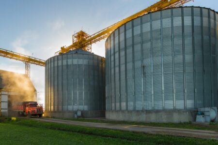 Gigante concursado: Los Grobo Agropecuaria acelera una alianza de “novios” con un grupo brasileño y busca generar US$150 millones imagen-12