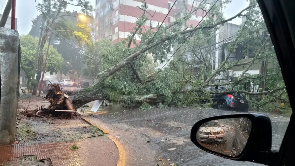 Temporal causa destrozos en Posadas: voladura de techos, árboles caídos y calles anegadas imagen-71