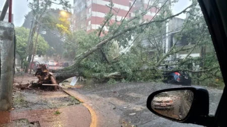 Temporal causa destrozos en Posadas: voladura de techos, árboles caídos y calles anegadas imagen-130