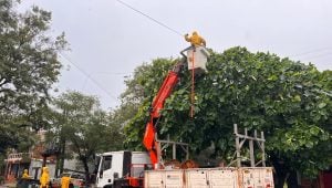 Tras el intenso temporal, Energía de Misiones continúa trabajando para en distintas zonas para recuperar servicio eléctrico imagen-10
