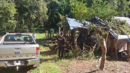 Un árbol cayó sobre una vivienda y provocó la muerte de un hombre en Eldorado imagen-69