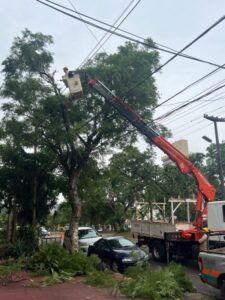 Con equipos, grúas y cortes de suministro preventivo, arrancó el operativo de poda para despejar y proteger la infraestructura eléctrica en Posadas imagen-1