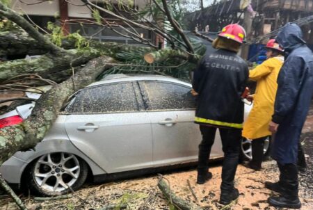 La Municipalidad de Posadas brinda rápida asistencia a familias afectadas por las tormentas imagen-6