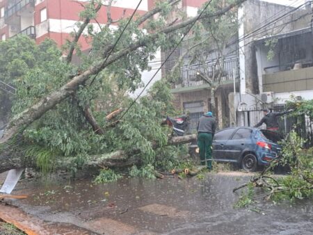 Temporal en Posadas provoca cortes de luz, caída de árboles y calles anegadas imagen-12