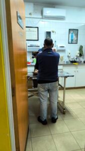 Pidió ayuda al 911 porque atropellaron a su mascota y la Policía lo auxilió imagen-1