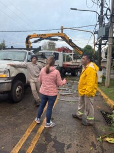 Temporal: paulatinamente se recupera el servicio eléctrico en distintos puntos de la provincia imagen-1