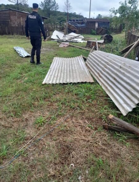 Por las fuertes tormentas hubo voladura de techos y caída de árboles en Oberá y alrededores imagen-5