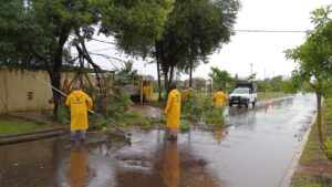 Tras el temporal, la Comuna posadeña atendió más de 150 llamados de emergencia imagen-1