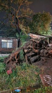Temporal: recorrida de Stanganelli por zonas afectadas de Posadas imagen-1