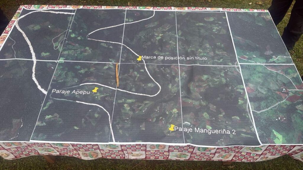 Con drones, buzos y más de 200 policías, continúa la intensa búsqueda de un niño en El Soberbio imagen-5