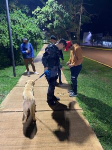 Prevención policial en Misiones: 33 arrestos y 50 vehículos secuestrados en operativos nocturnos imagen-1