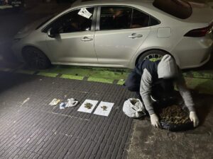Dos «dealers» detenidos en pleno «delivery» de droga en Posadas: Tenían $5 millones en marihuana imagen-1