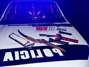 Policías evitaron el robo de ganado a colonos y detuvieron a cuatreros en operativos rurales imagen-1