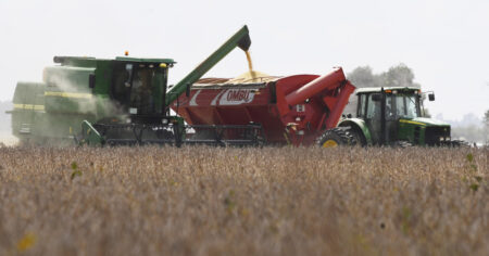 A un mes del nuevo esquema cambiario, se registraron ventas al exterior del agro por US$ casi 4.000 millones imagen-10