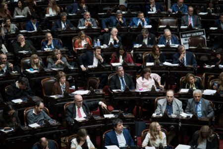 Diputados | La oposición desafía al oficialismo con una sesión especial y un temario que incomoda al Gobierno imagen-14