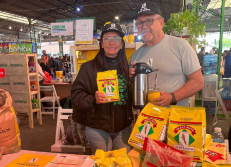 As de Bastos innova con secaderos que reducen el uso de leña en la yerba mate imagen-17