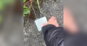 Descubrió un cheque tirado en la calle y terminó su día con una recompensa: "Fue increíble" imagen-4