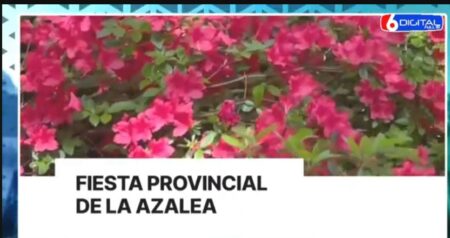 Legislatura instituye la Fiesta Provincial de la Azalea, con sede en Olegario V. Andrade imagen-14