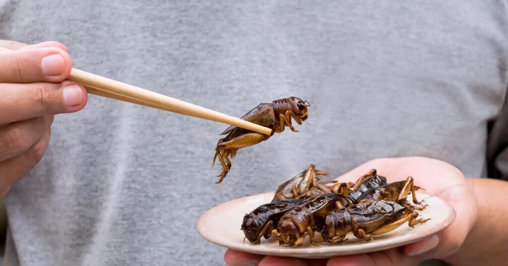 Cuál es el alimento menos consumido en el mundo imagen-88