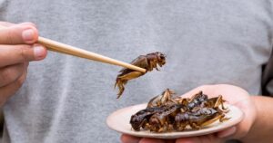 Cuál es el alimento menos consumido en el mundo imagen-3