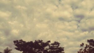 Martes con tiempo inestable y probabilidad de lluvias en Misiones imagen-1