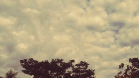 Martes con tiempo inestable y probabilidad de lluvias en Misiones imagen-16