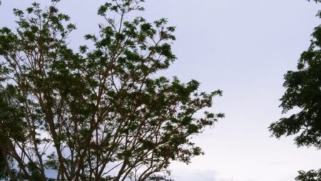 Martes: persisten las lluvias y el frente frío baja las temperaturas en Misiones imagen-6