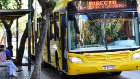 Califican de «ilegítimo» el paro de choferes y denuncian perjuicios ocasionados a pasajeros y empresas imagen-16