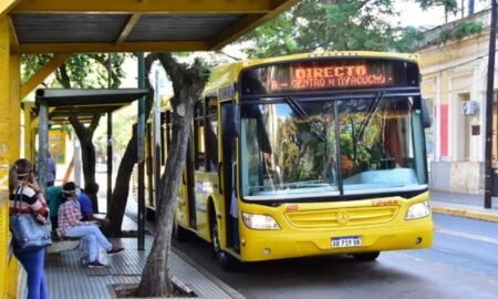 Misiones adhiere al paro de colectivos por 24 horas convocado por UTA imagen-6